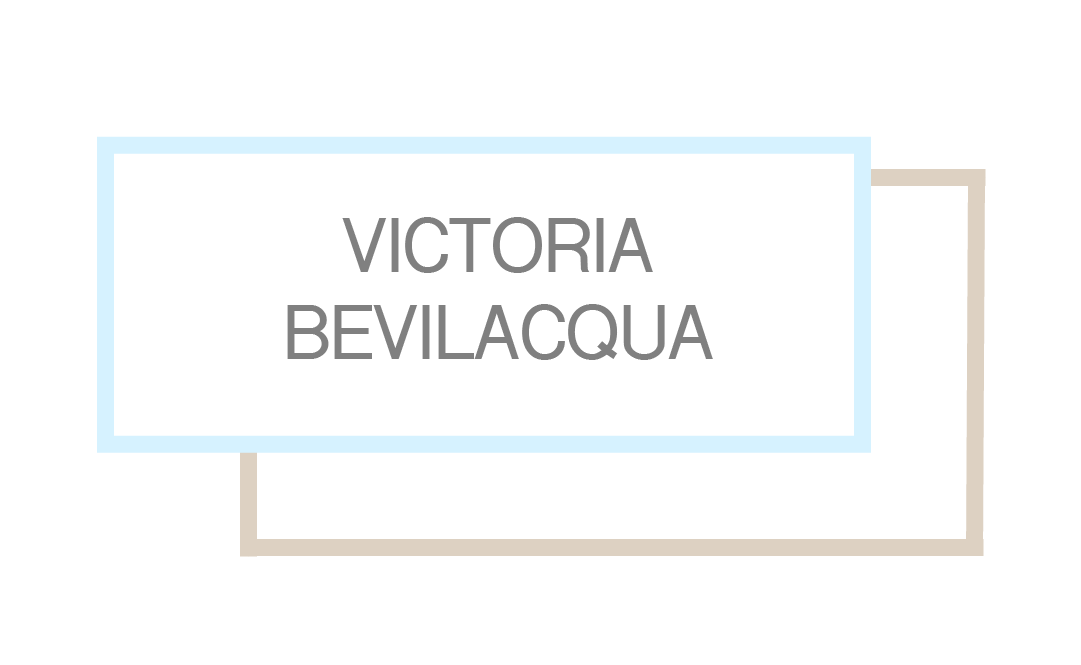 VB Logo-06.png