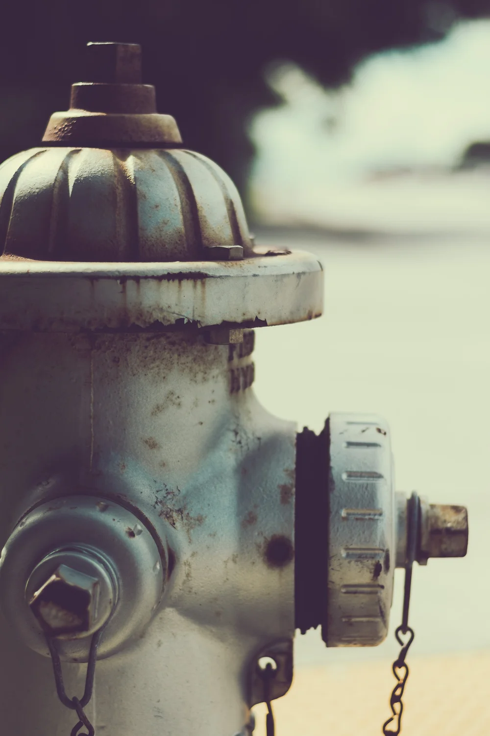 Hydrant in Sillouette HS-211005-3.jpg