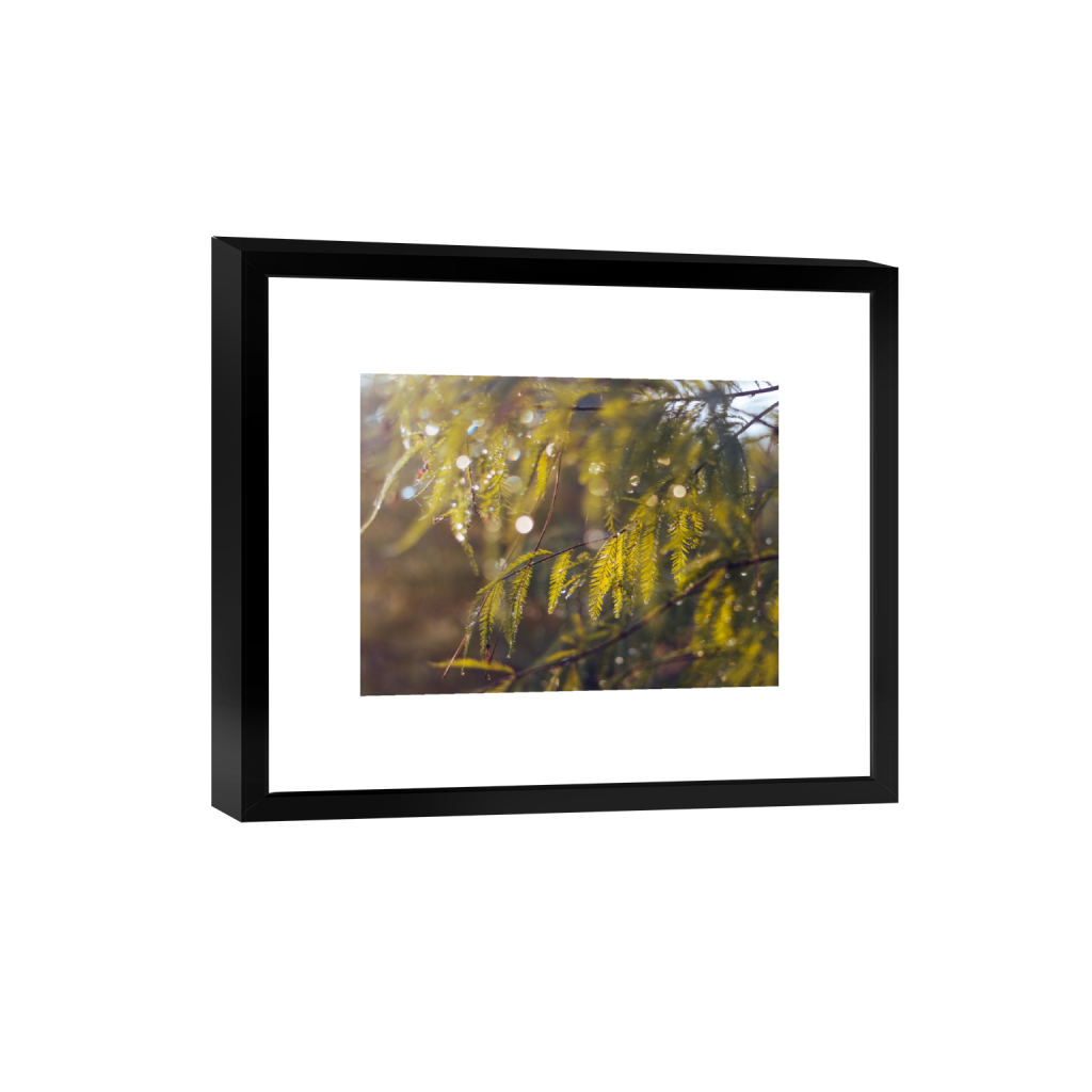 smartframe_rectangle3_4_0_0_4500_3375_0_false_ffffff_0_0.png
