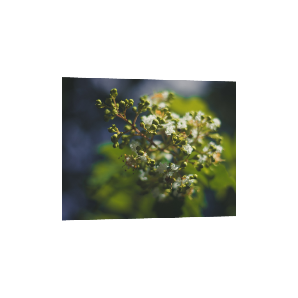 fineartprints_rectangle4_5_0_0_5000_4000_0_false_ffffff_0_0.png