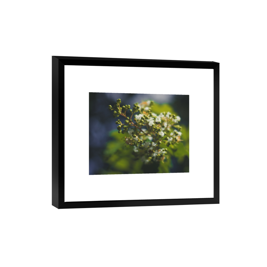 smartframe_rectangle4_5_0_0_5000_4000_0_false_ffffff_0_0.png