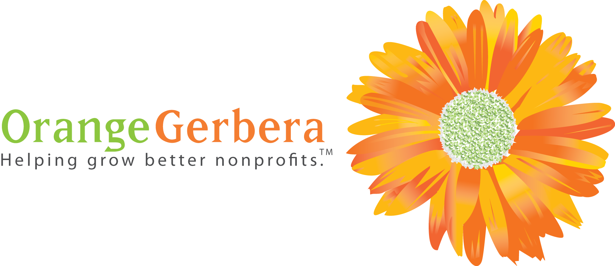 OrangeGerbera