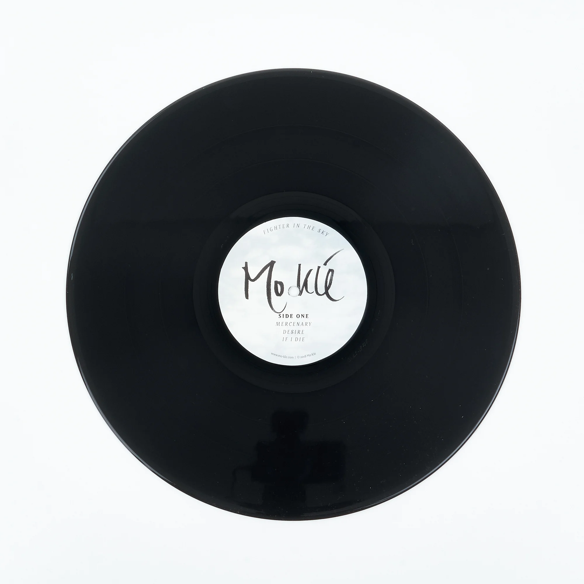 Fighter In The Sky Vinyl Disk.jpg