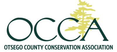 OCCA_logo_norefelection_trans-400x180.png