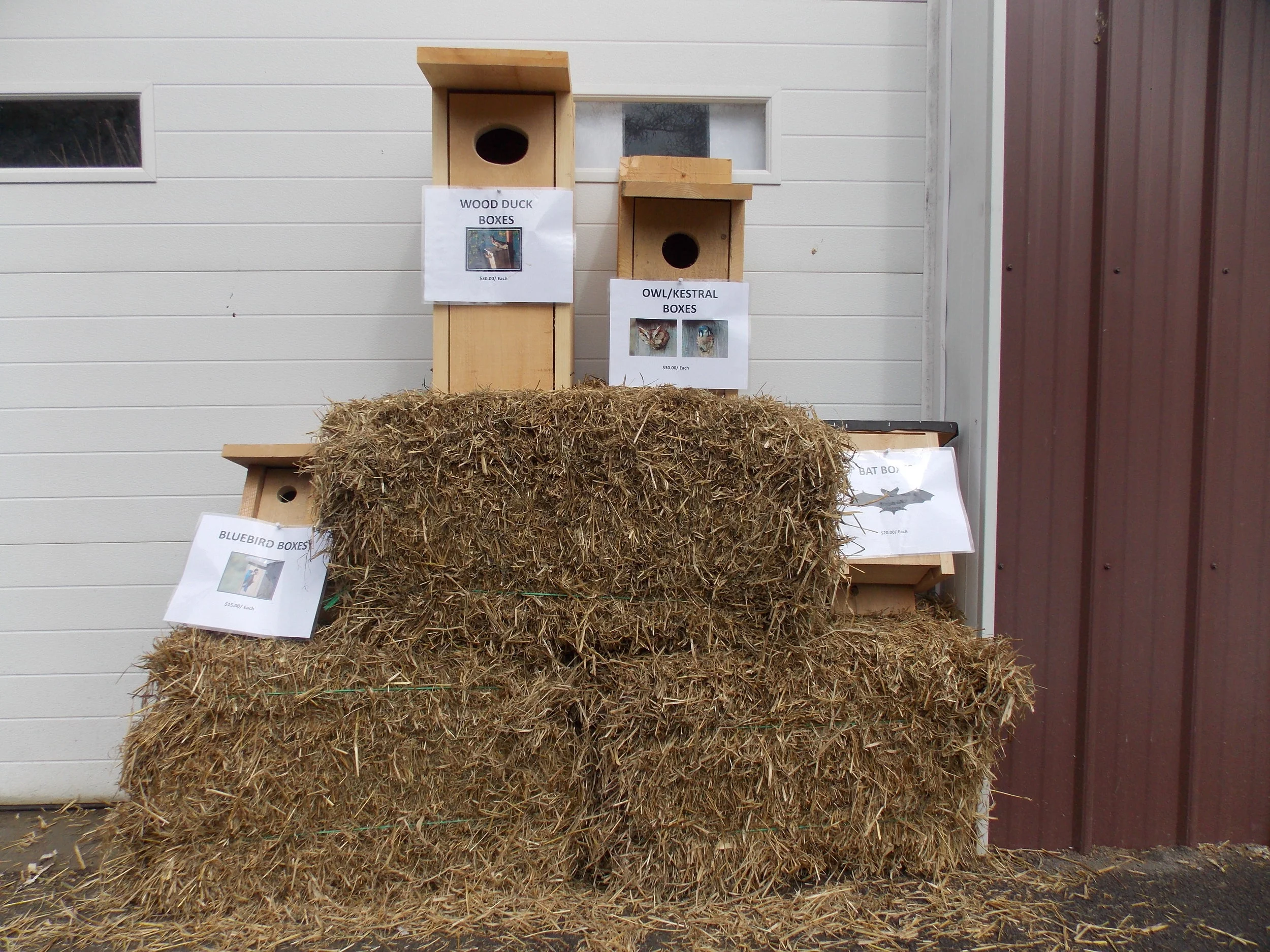 A Look back at 2018 Spring Tree Sale