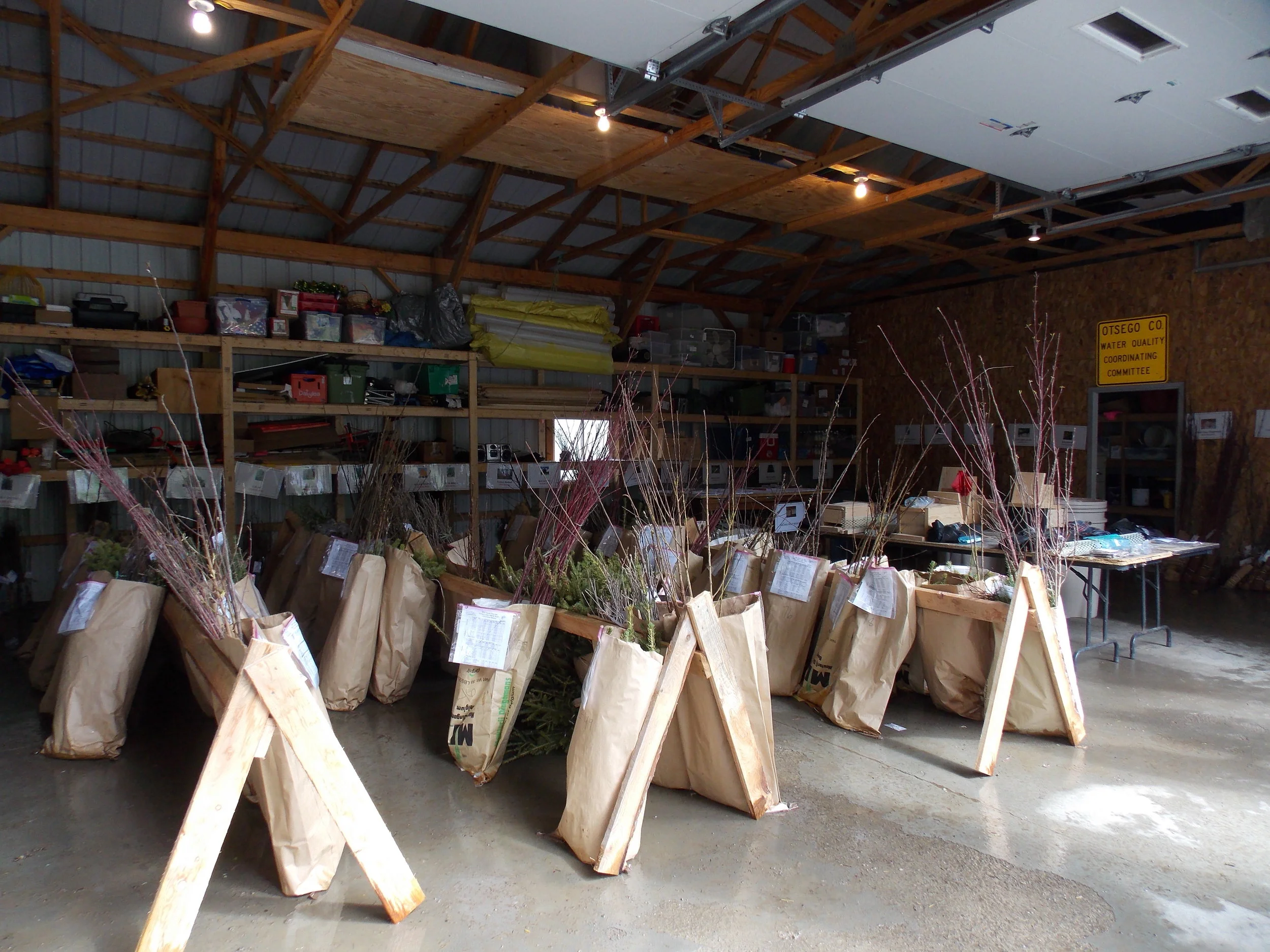 A Look back at 2018 Spring Tree Sale