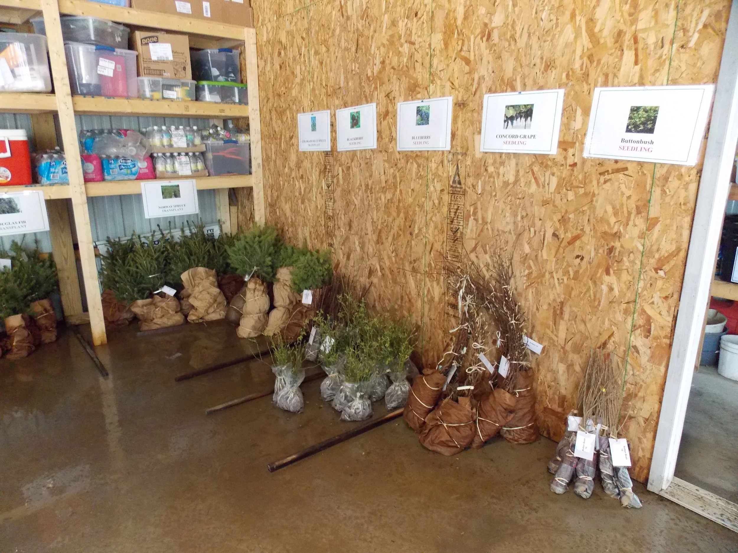 A Look back at 2018 Spring Tree Sale