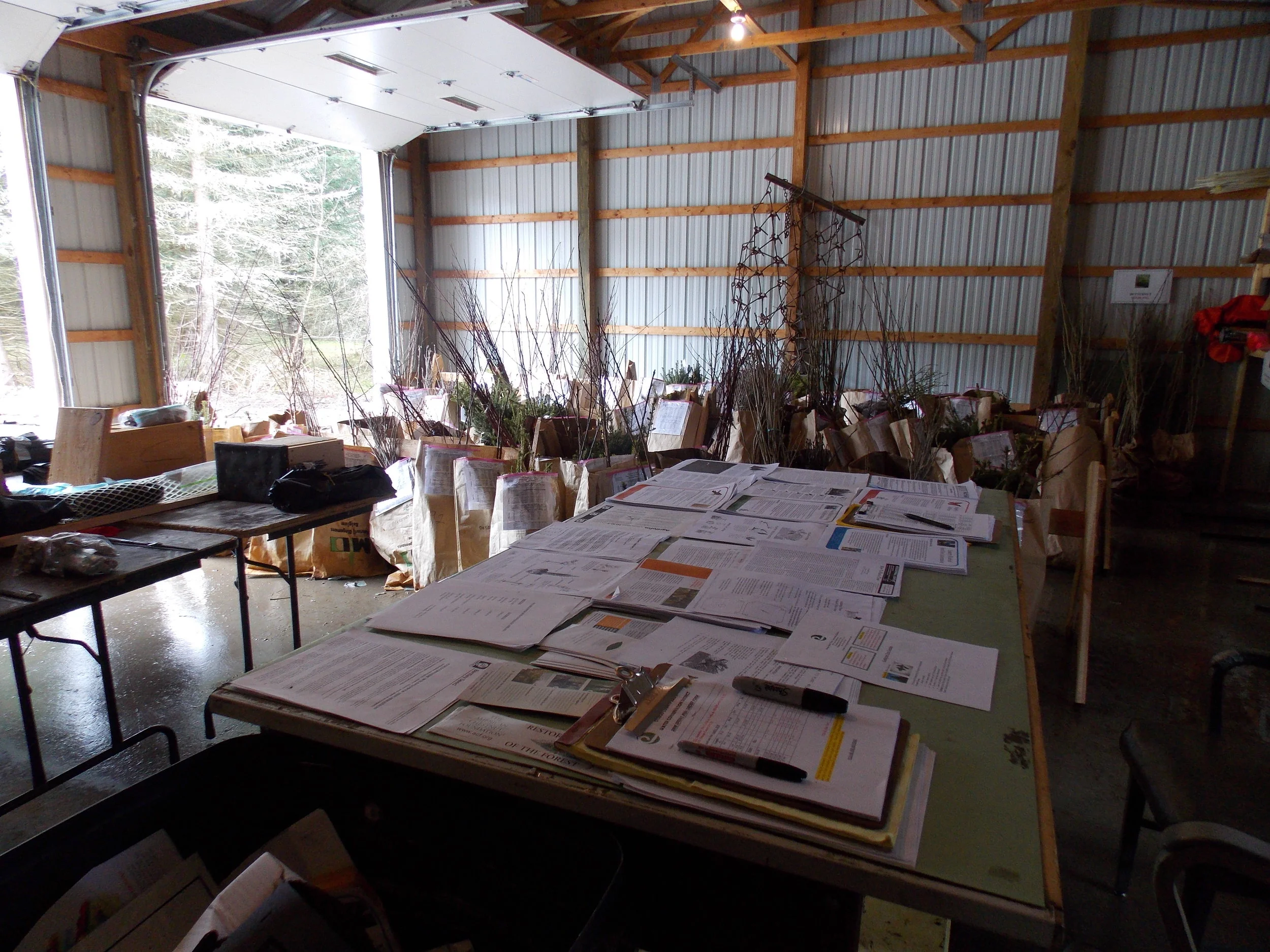 A Look back at 2018 Spring Tree Sale