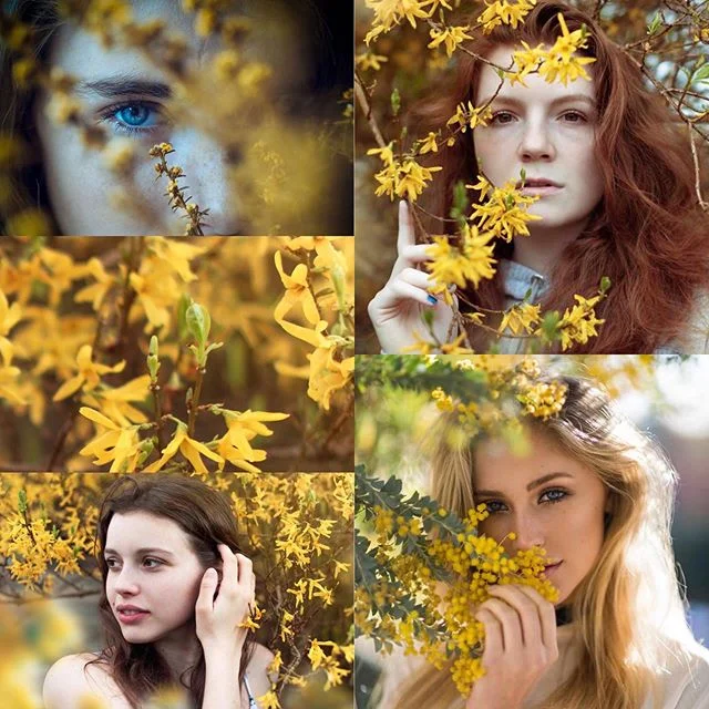Reference vs. Reality! I’ve had these blossom photos in my mind for SO LONG and in any ideas folder :p and sometimes ideas become reality! There’s nothing better then when a shoot comes together like this. Side note for photographers: it’s easier for models to see what’s in your head when you can find multiple references! @r_hains NAILED the vibe 💕💕💕💛💛💛
#references #yellow #flowers #portrait #photo #portraiture #model #blog #lifestyle #yellowflowers #reality #photographer #girls #models #student #blogging