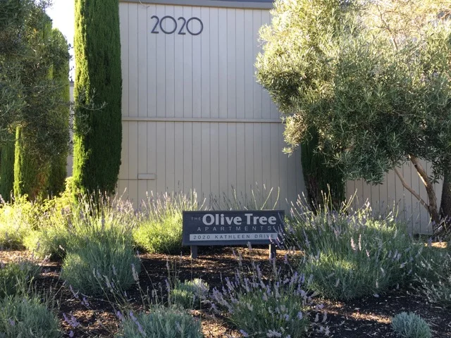 (1) Sign, IMG_6942.jpeg