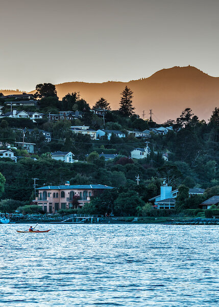 The Cove at Tiburon_Complimentary Kayaks.jpg