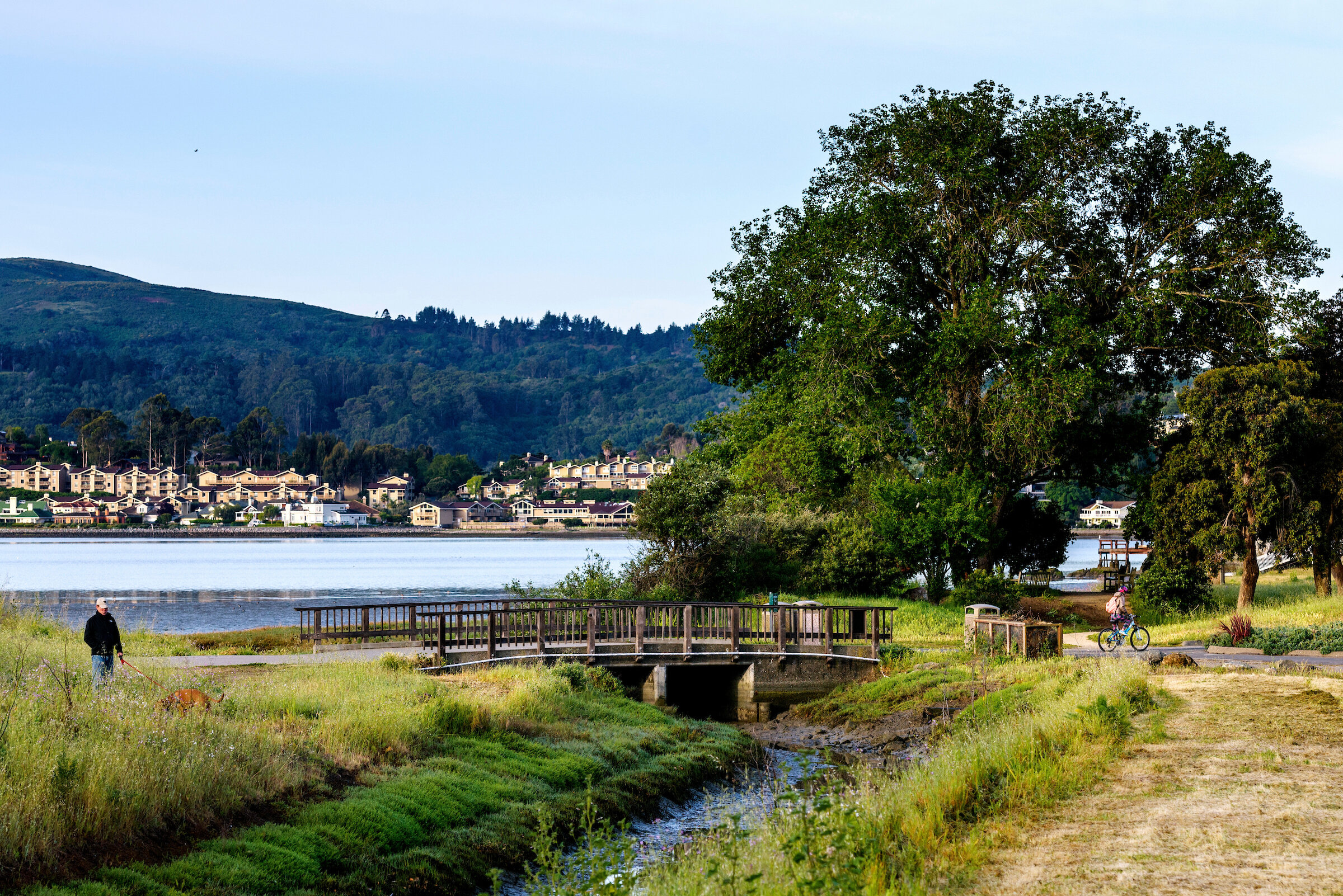 Blackie's Meadow Footbridge.jpg