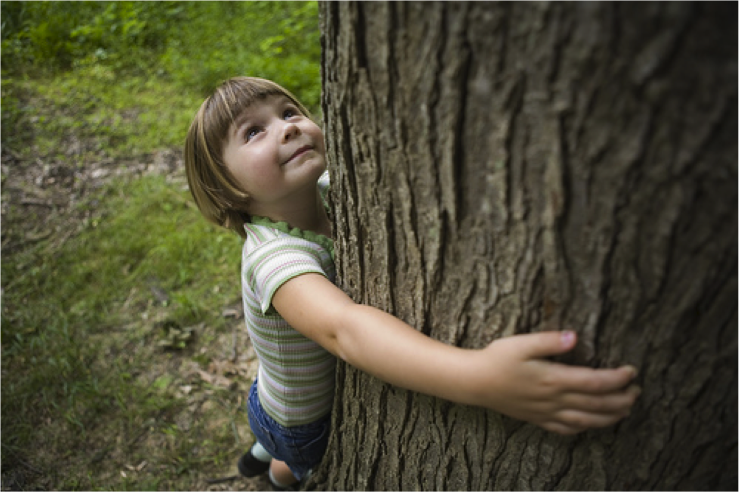 Children natural. Дерево для детей. Дети и природа. Природа деревьев для детей. Любовь детей к природе.