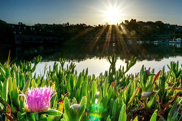 Letter to Residents: This Week at The Cove: Community Care Update 