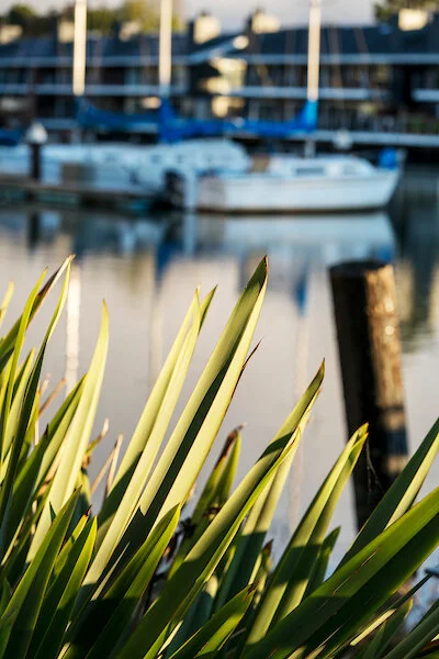 Community Care Update: Chalk Your Walk for a Chance to Win, Express Yourself Through Interior Design, Jam out with a Live Jazz Concert, and More