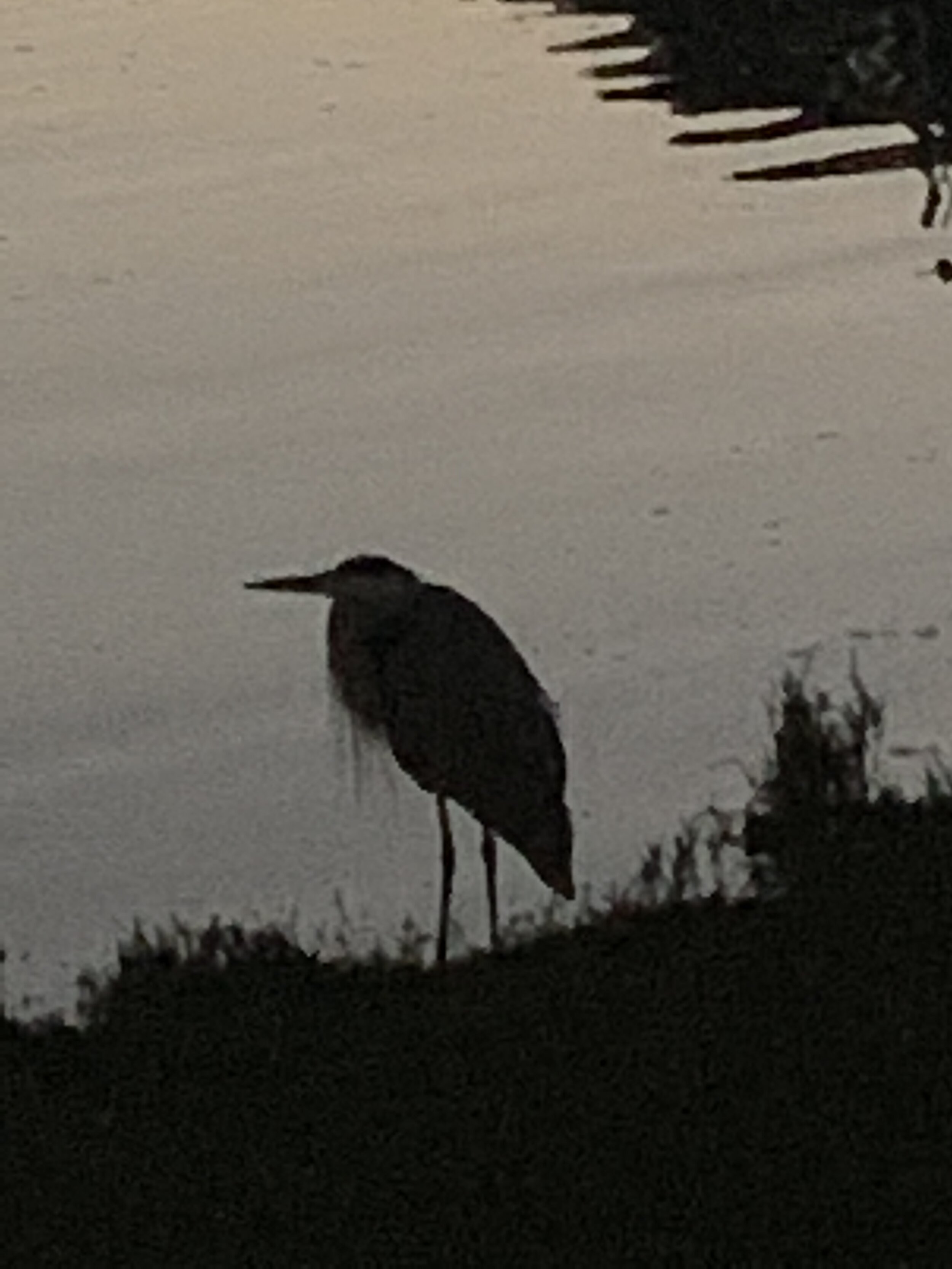 TC_Nature_Greischel_006-SALT 2.jpeg