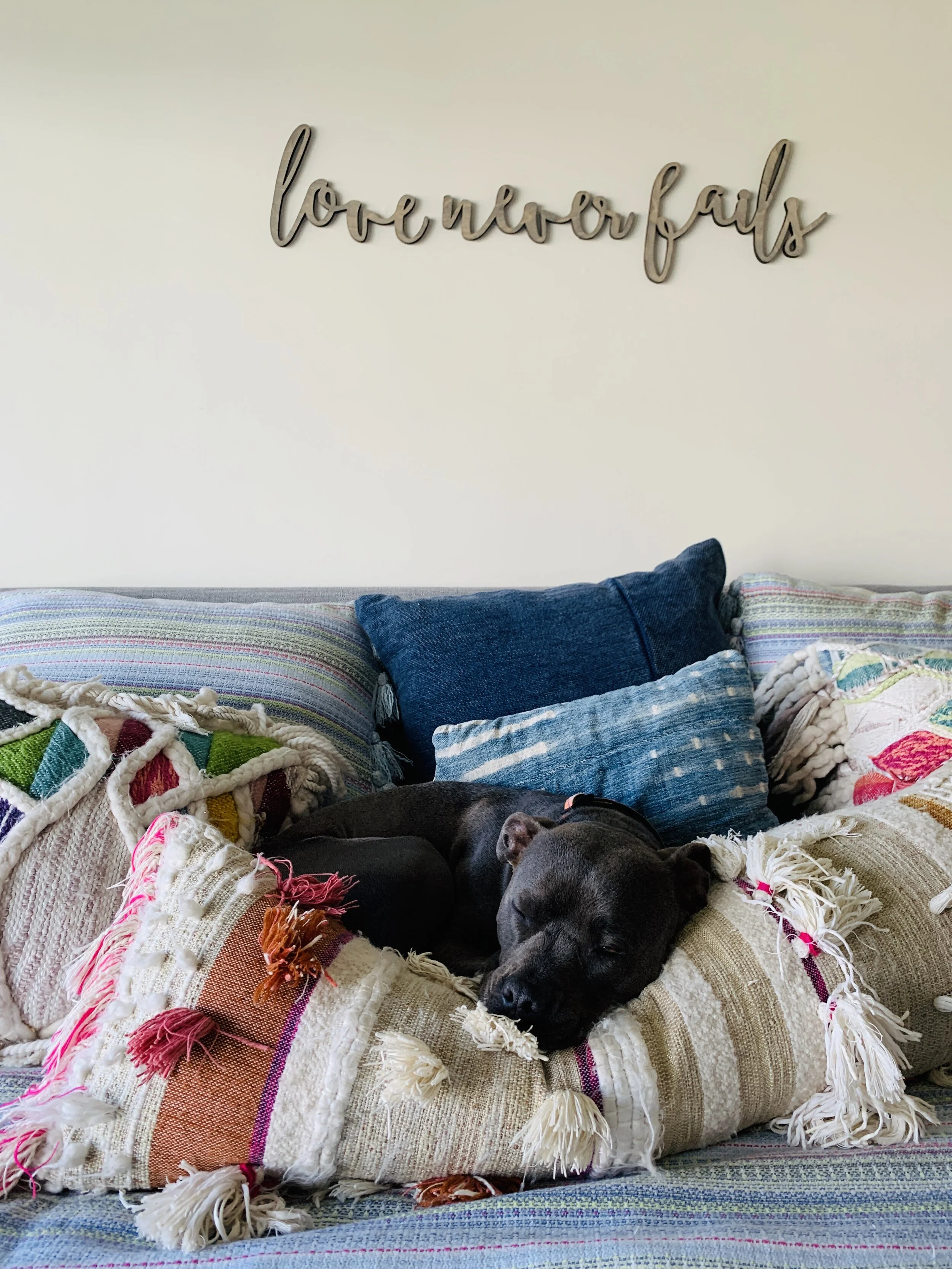 "Together The Cove" Photo Contest: Results