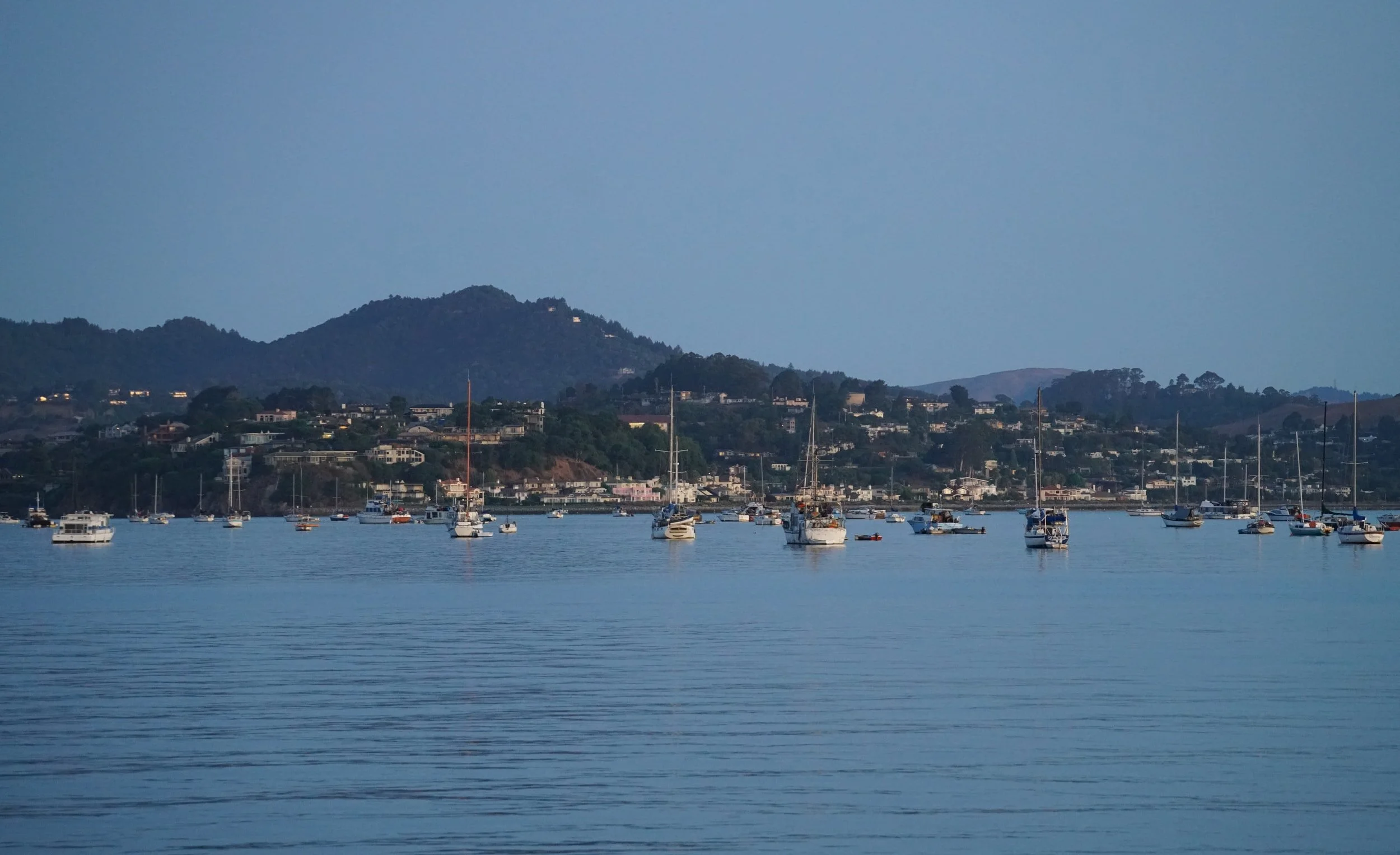 Join our Winter Decorating Contest, Last Food Truck Friday of the Year, and much more