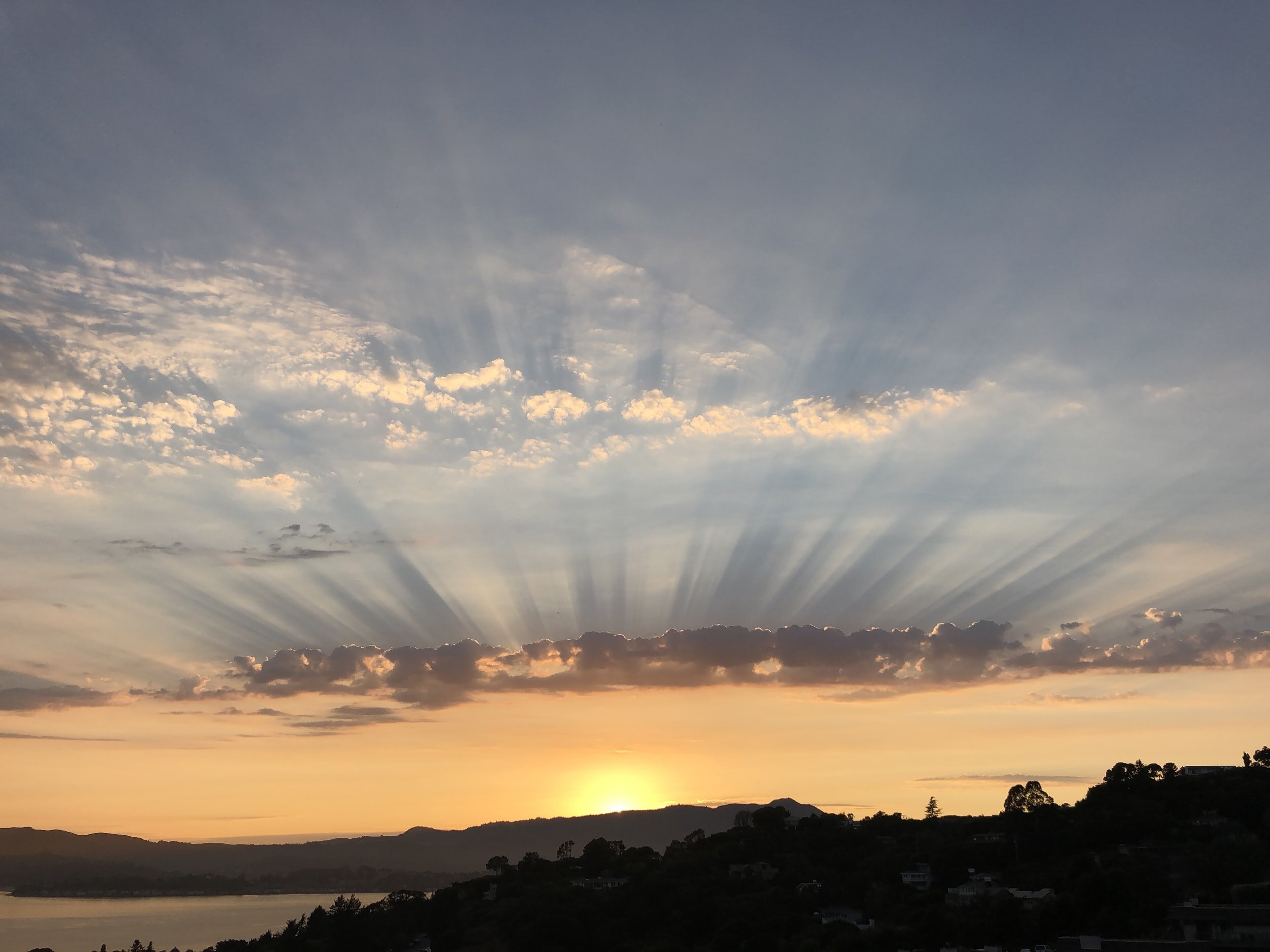 Capelo’s BBQ is Back, Bike Tune Tuesdays, and more! 