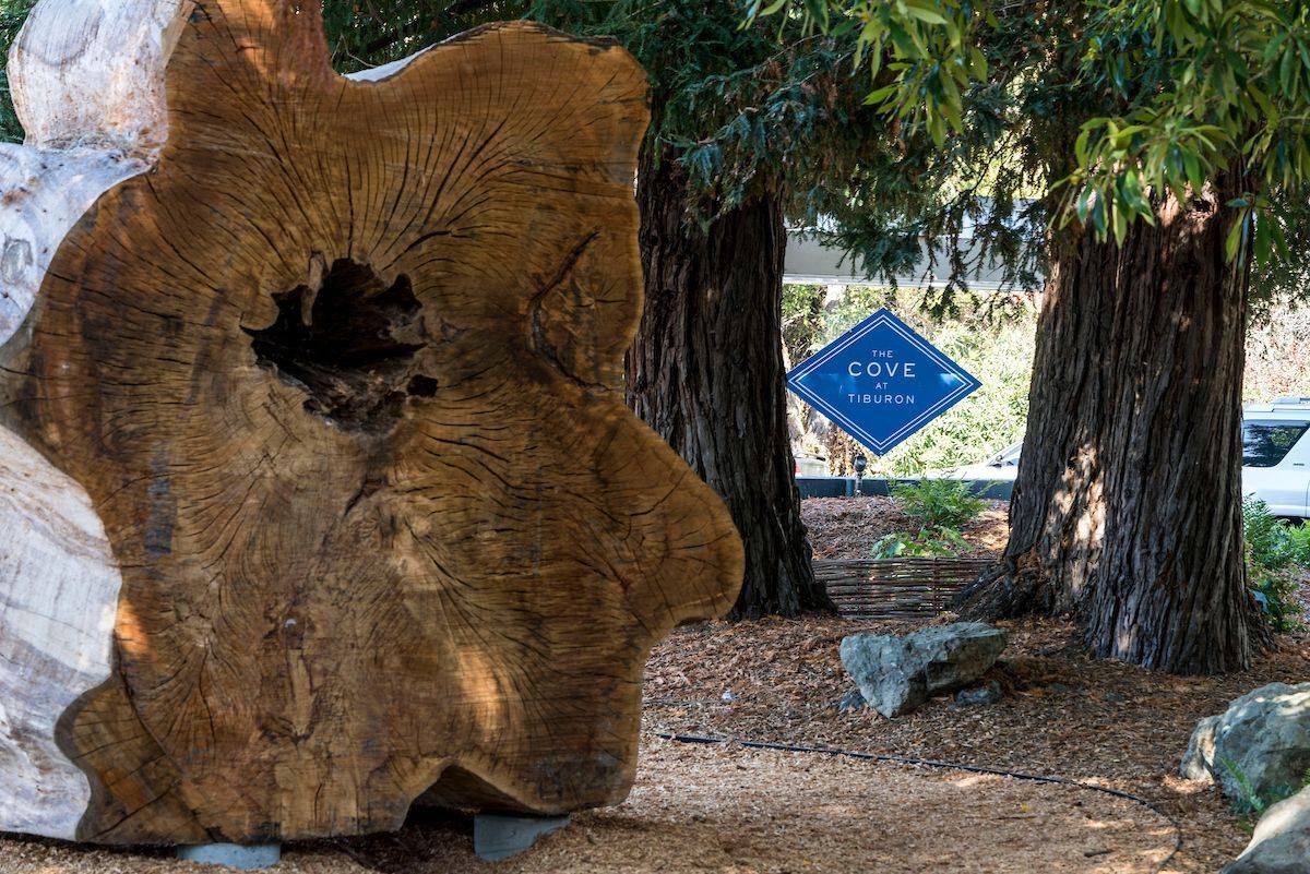 Embracing nature, from land to water 🌎 

Check out some fun #EarthDay activities you can do, all without leaving #TheCoveAtTiburon: 

1 )  Stop by &lsquo;The Grove&rsquo; - an outdoor play area with natural tree sculpture by artist Evan Shively 
2) 