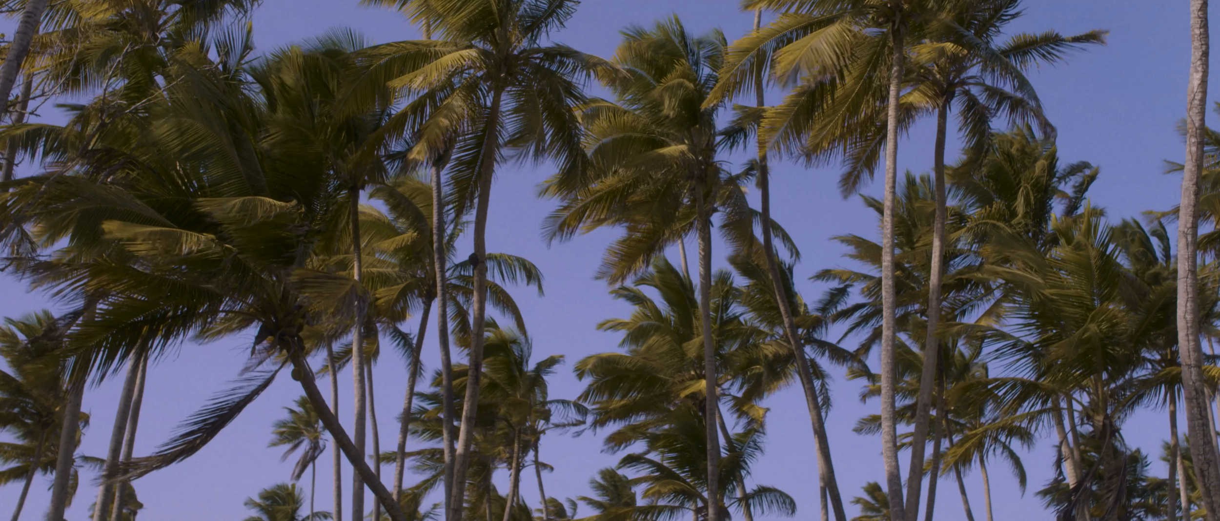 Screen Shot 2019-10-07 at 7.12.50 PM.png