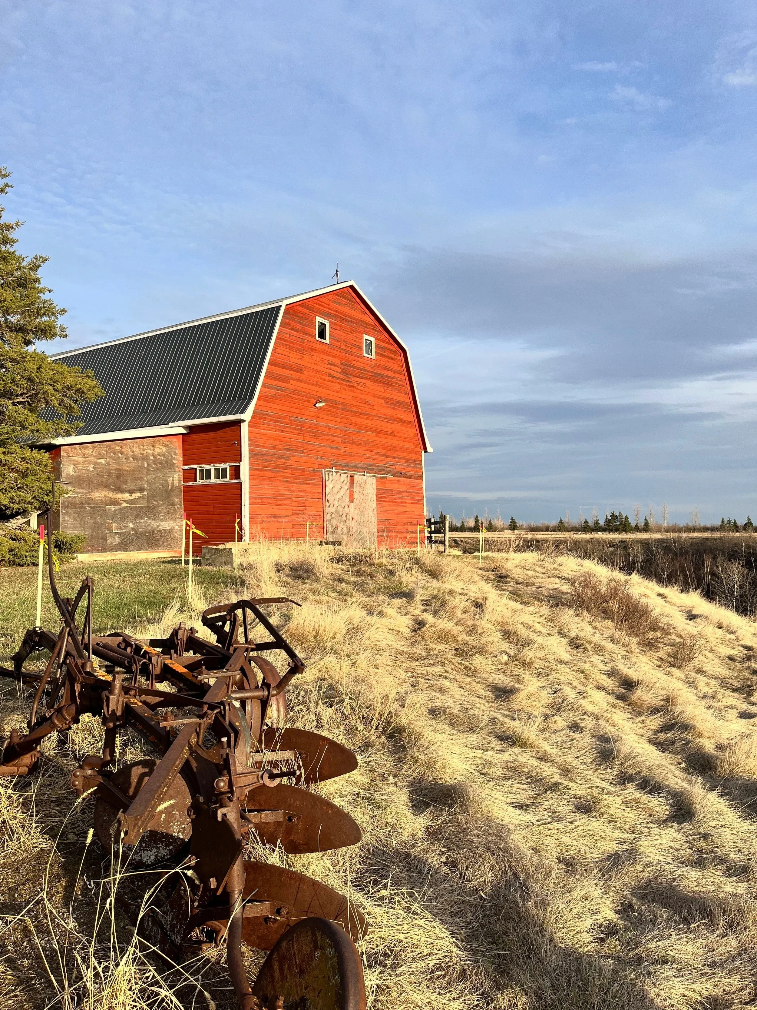 Red barn overlooking the North Saskatchewan River at Blue Sky Ranch near Langham, Saskatchewan- Photo by Karla Combres