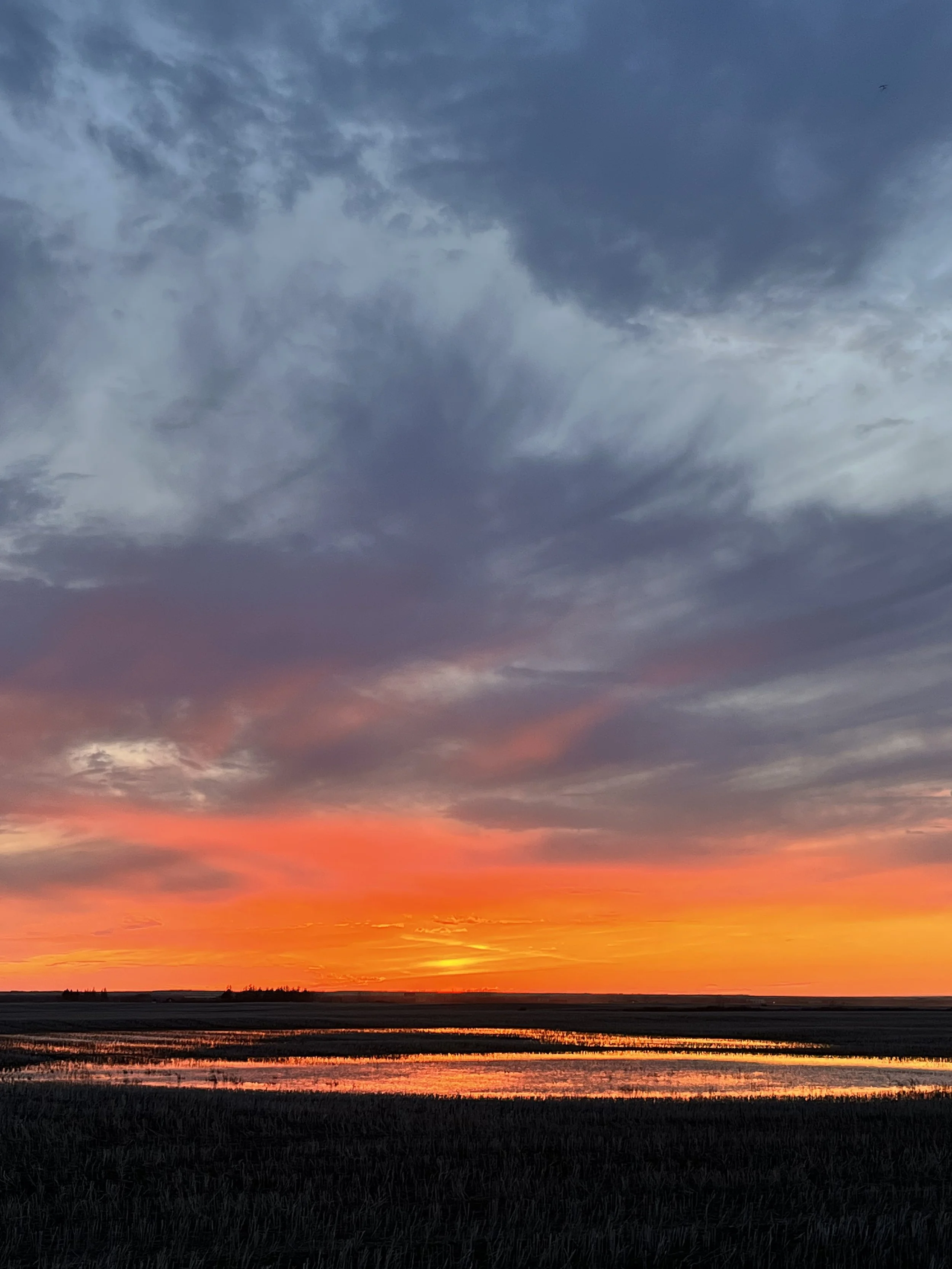 Sunset over spring slough near Langham, Saskatchewan - Photo by Karla Combres