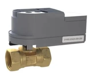 Carrier - Dependent Valve.JPG