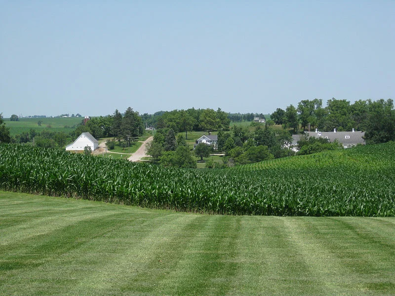 A Cornfield in Central Iowa, image taken from Wikimedia Commons. Picture taken by Christiane Tans.