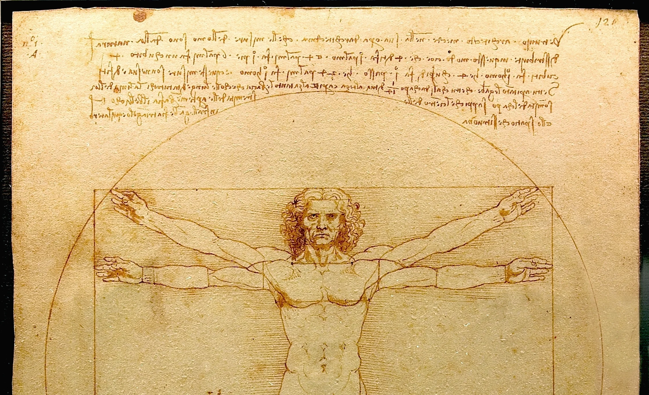 Leonardo Da Vinci’s Vitruvian Man sketch (cropped so that facebook won’t just show an image of a penis.)