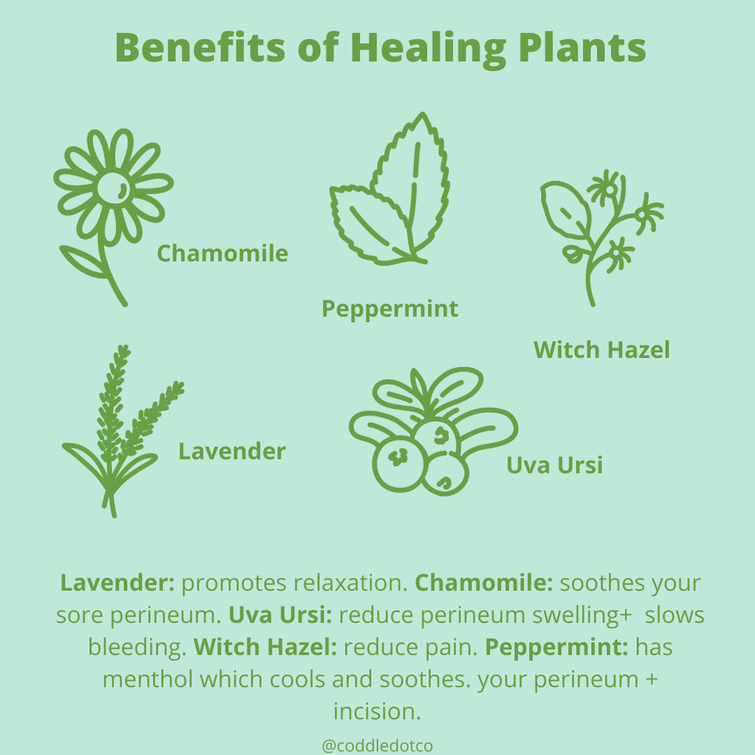 It&rsquo;s 🍃 EARTH DAY 🍃 EVERY DAY when you run an eco-conscious company! 🌍 ​​​​​​​​
​​​​​​​​
Humans have used plants as medicine for as long as we have existed. And we continue that tradition in our line of postpartum recovery products. ​​​​​​​​
