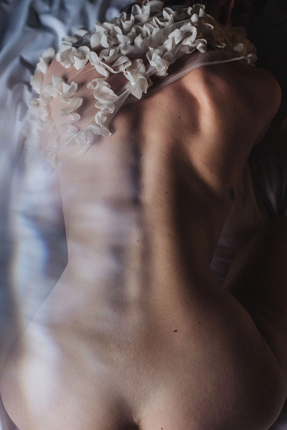 _J5A6913s.jpg
