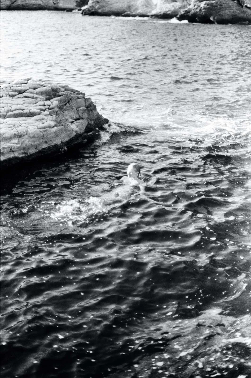 SDL47790009.jpg