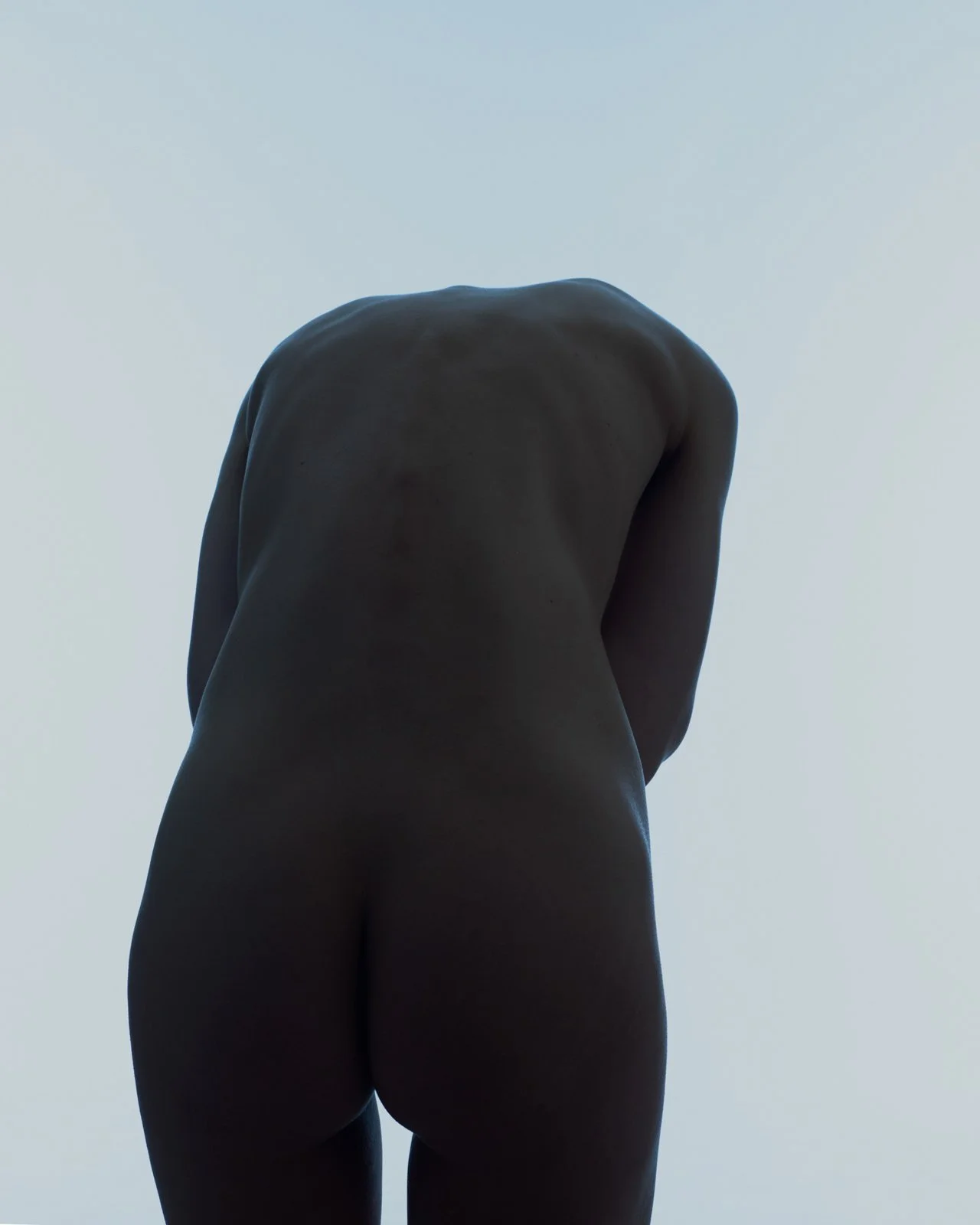 FREDDY_8365.jpg