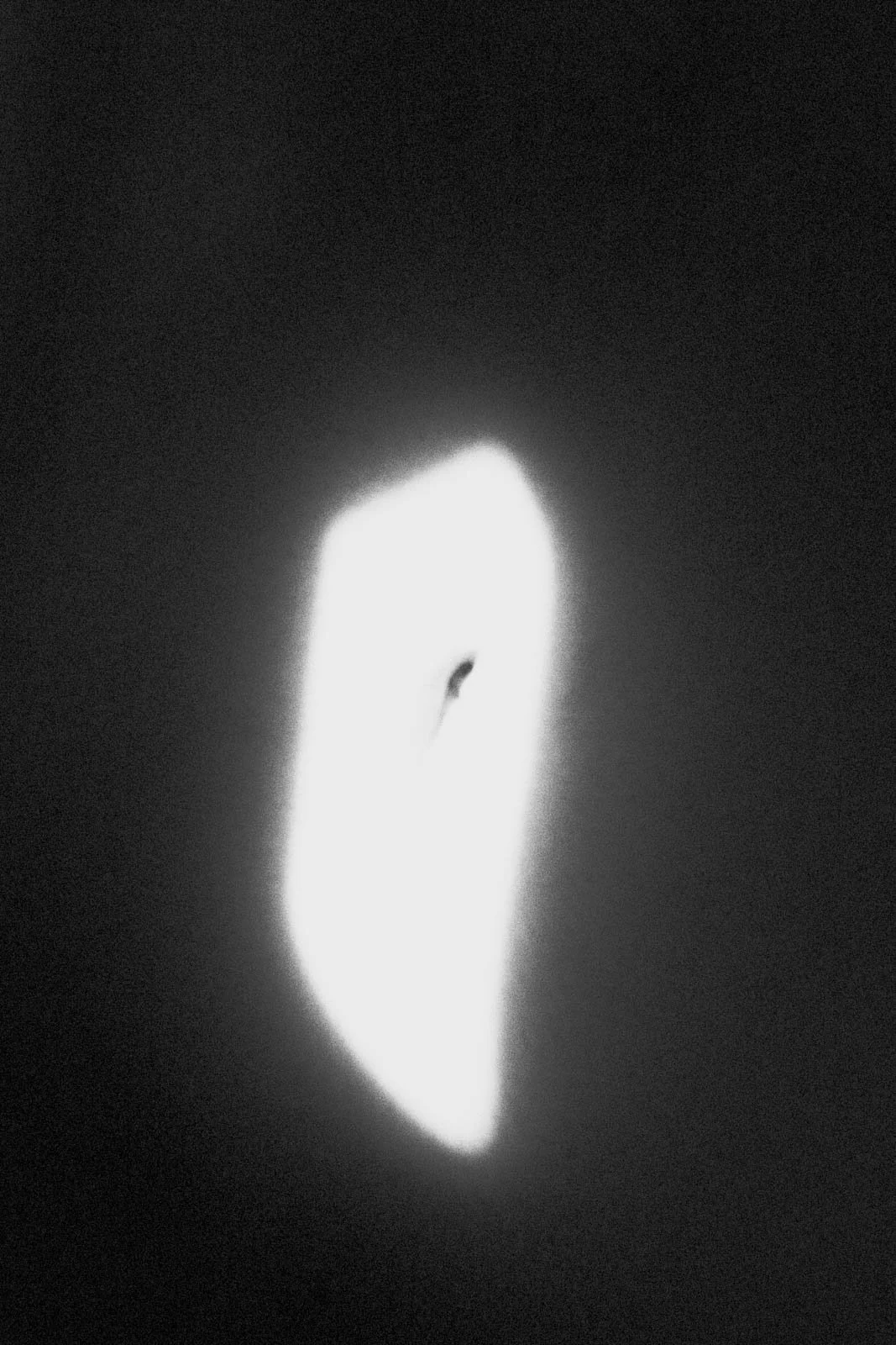 IMG_2222bw.jpg