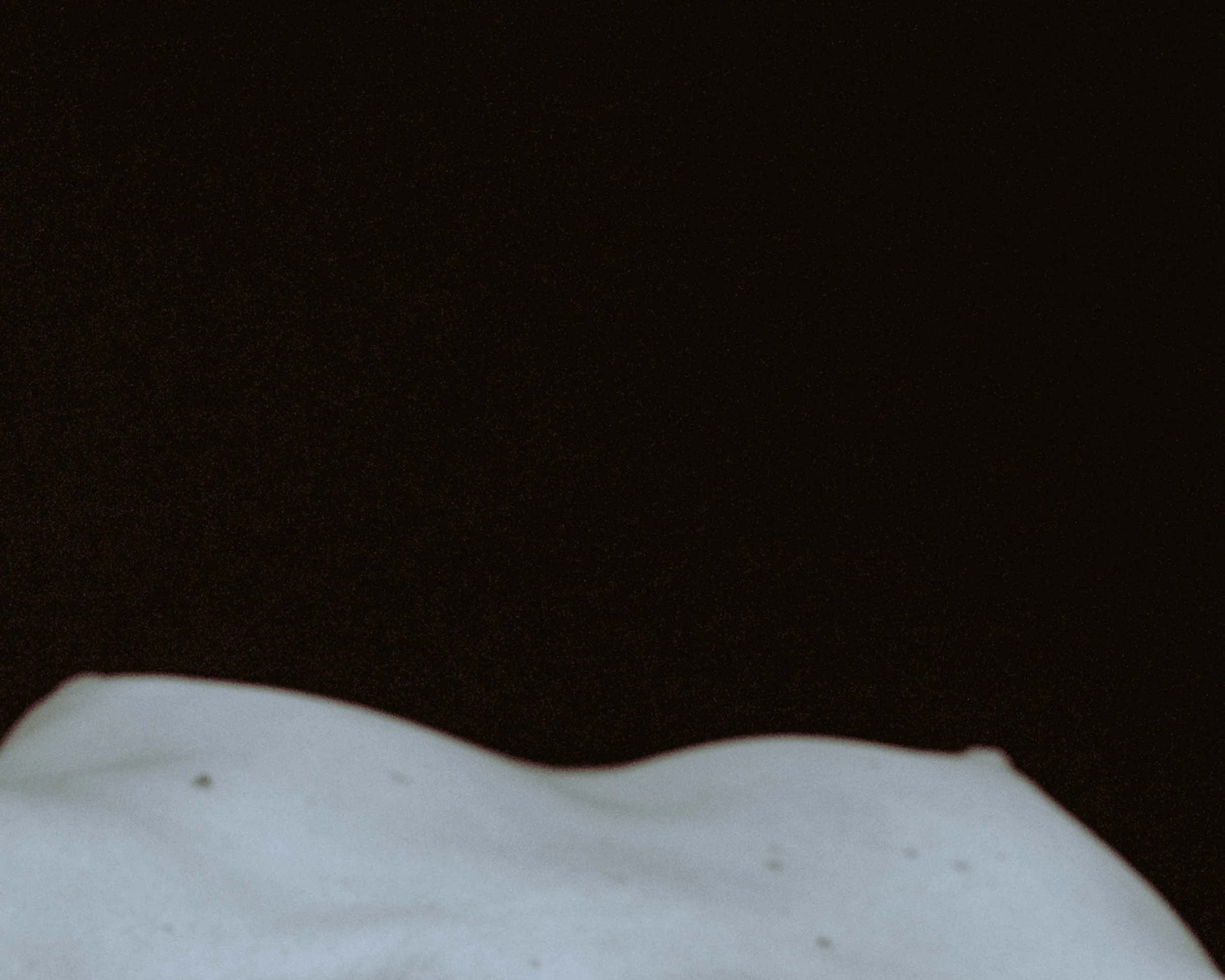 K19A0297-1.jpg