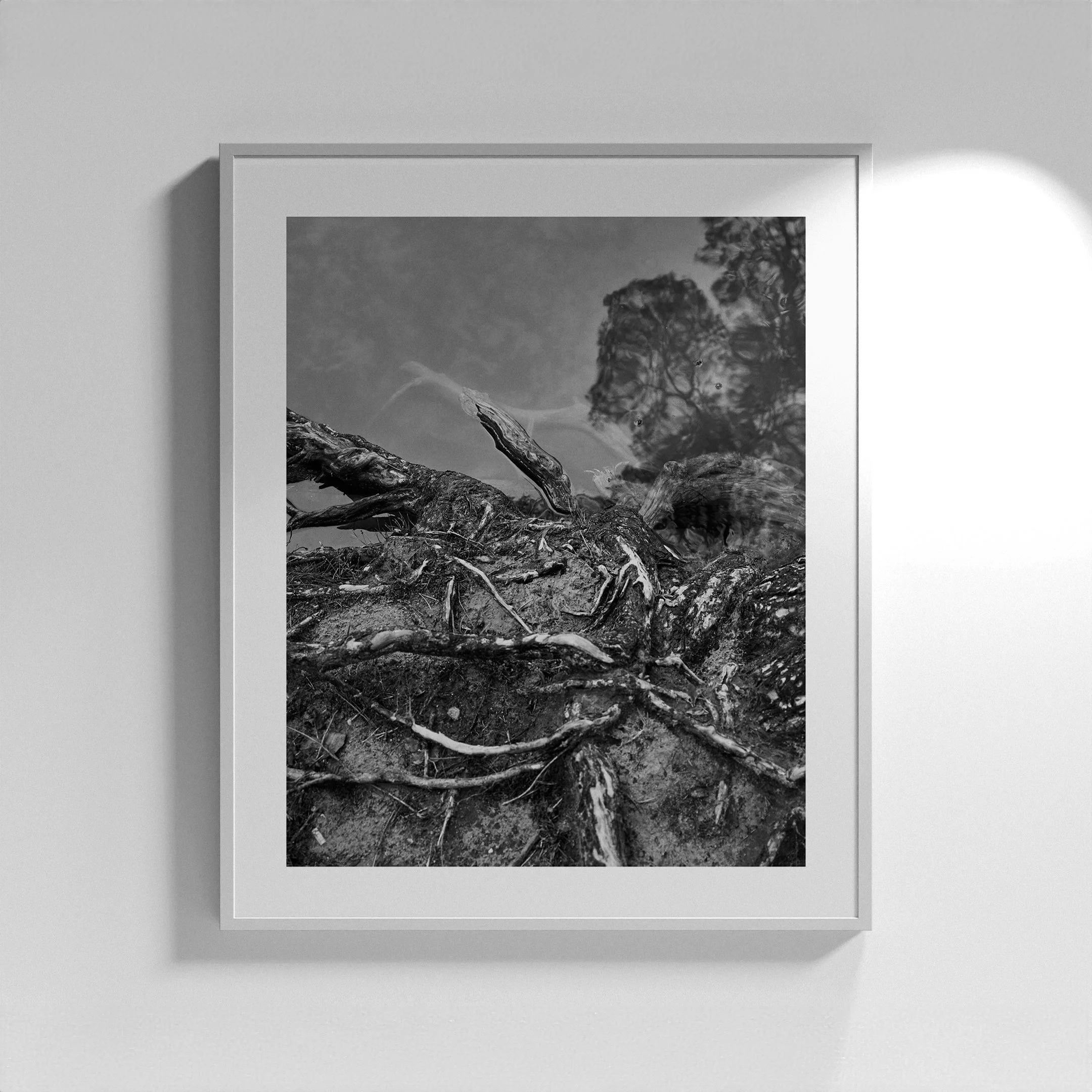 "Wild and Free" No.6 by Rokas Darulis