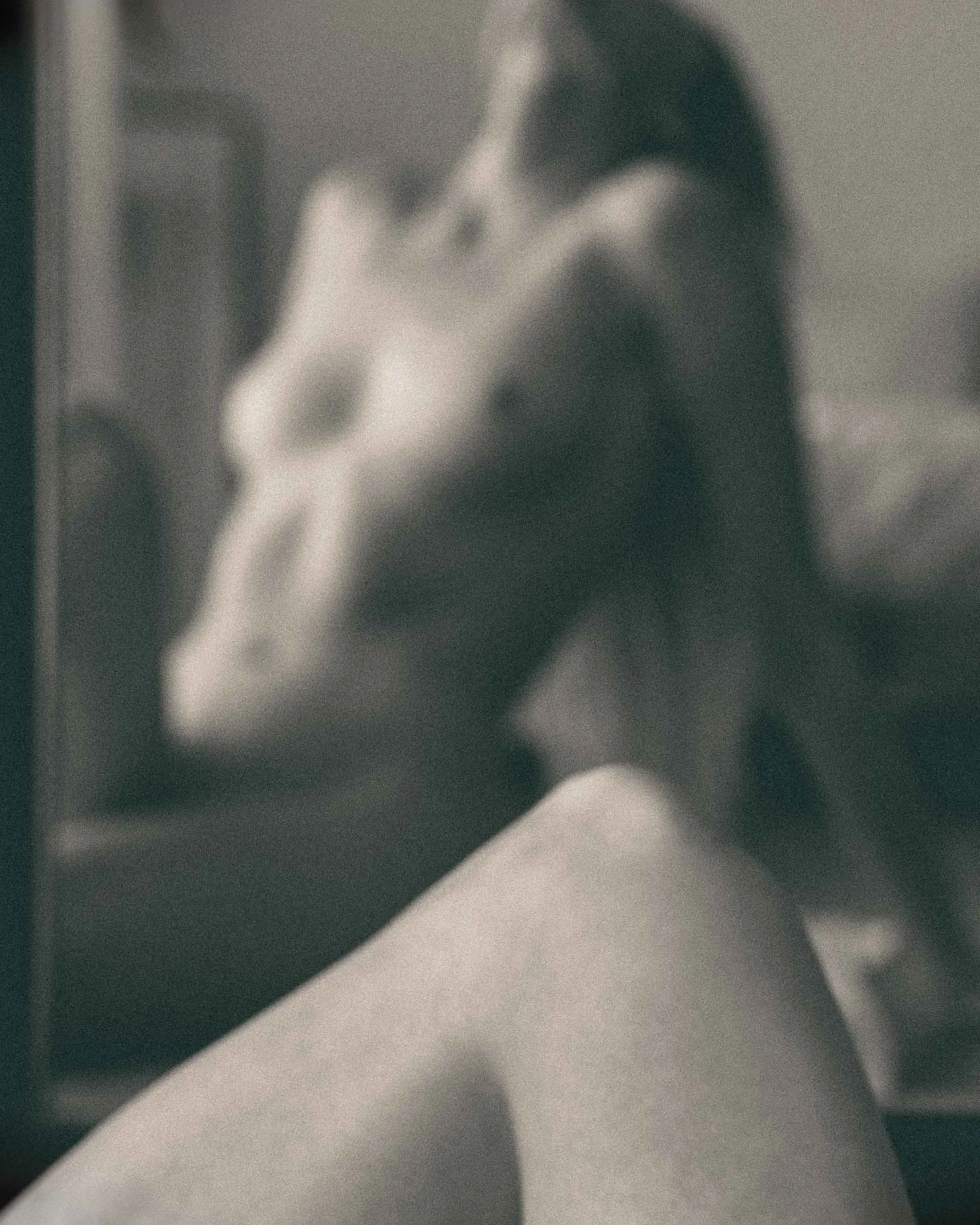 Zuzia Rybinska by Jack Chu