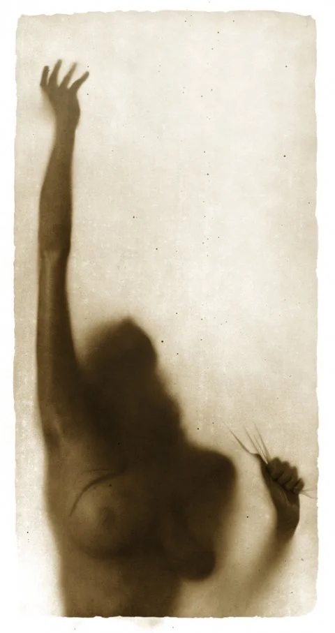 9908425 1999.jpg