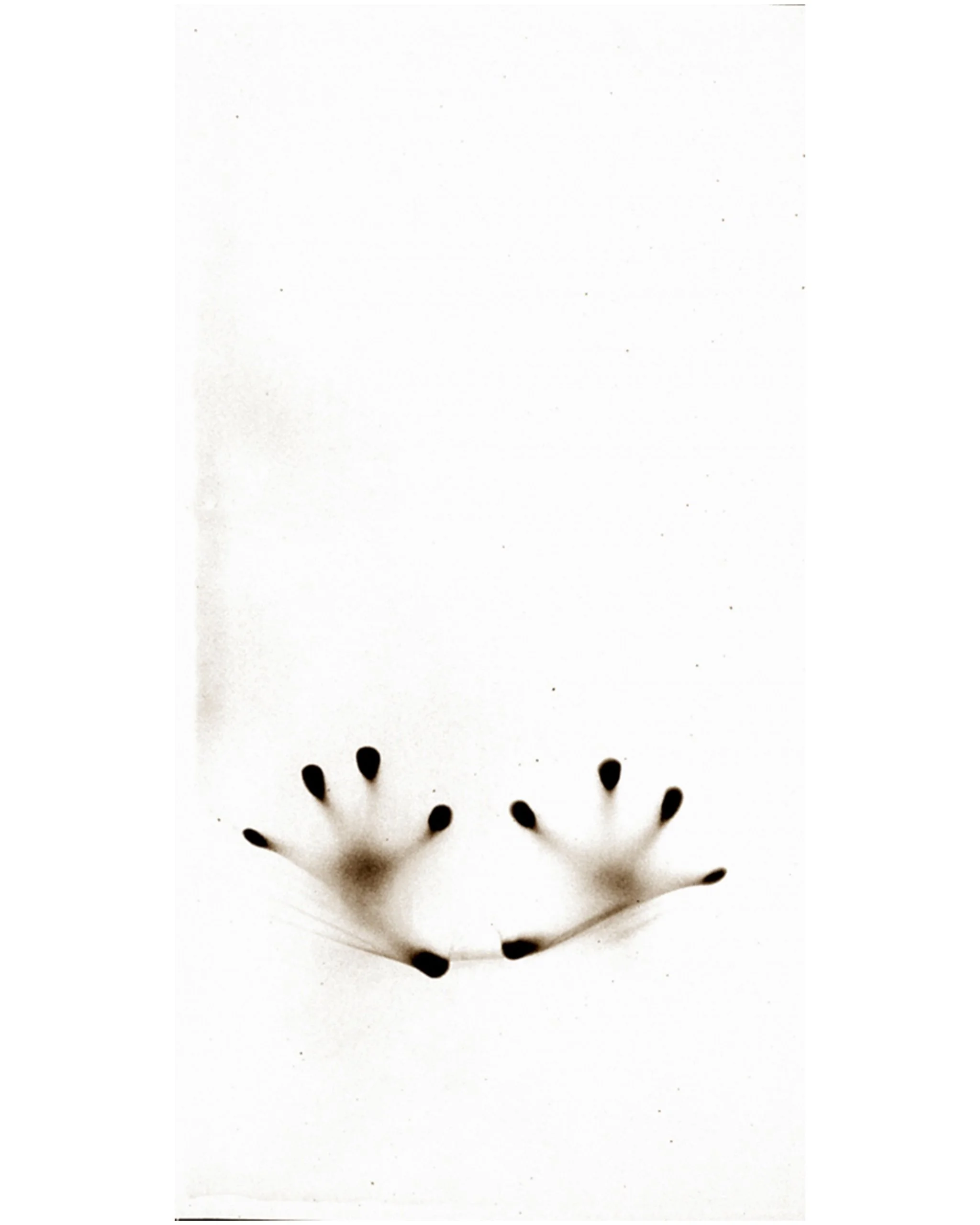 3 osmosis 2.jpg