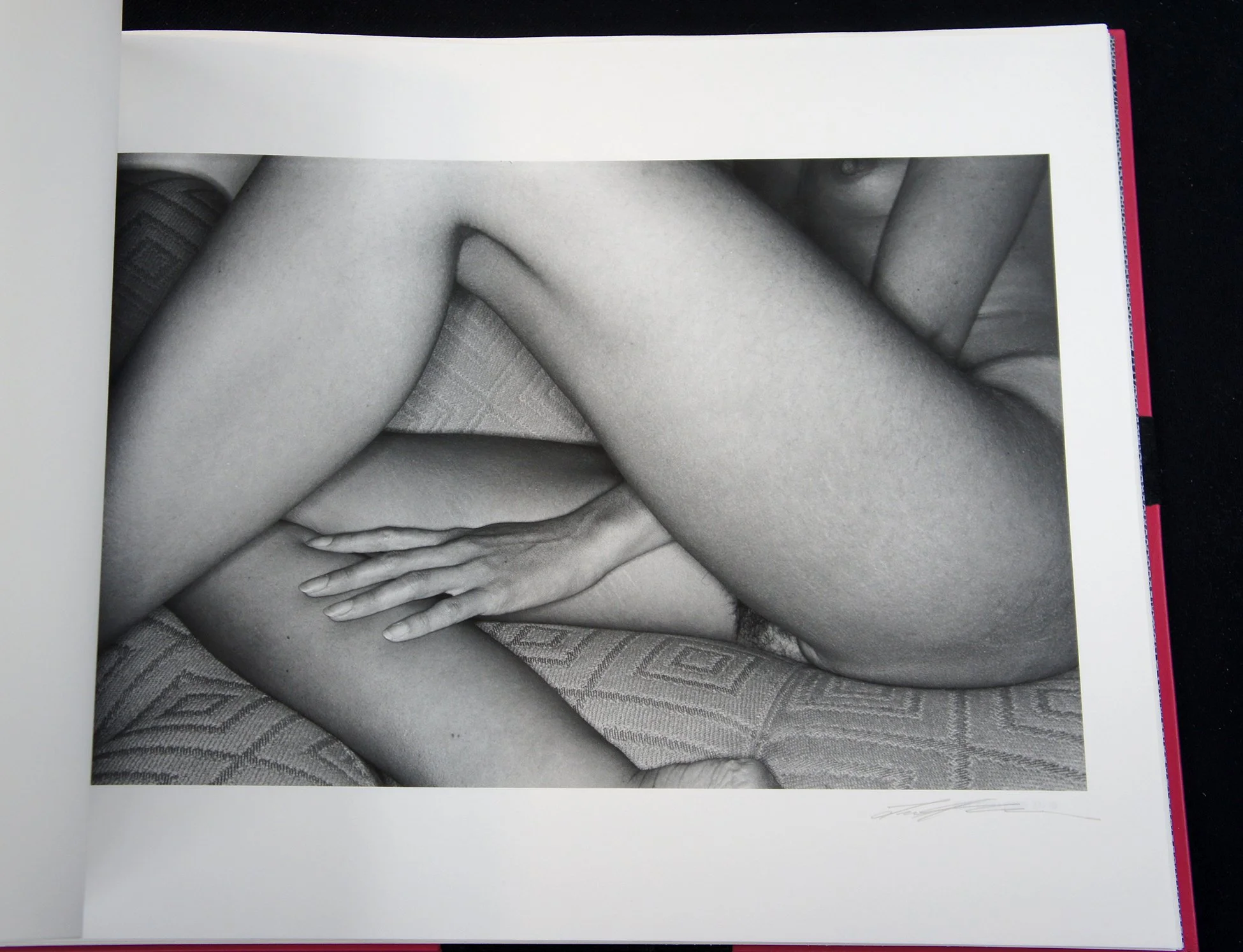 by Lee Friedlander for 10 Nudes (Special Limited Edition Book of Ten Vintage Gelatin Silver Prints), 1991.JPG