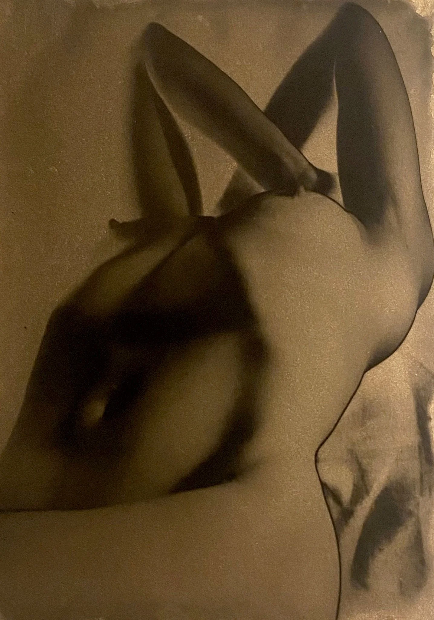 Clarisse Clozier - Et de la ligne 5.jpg