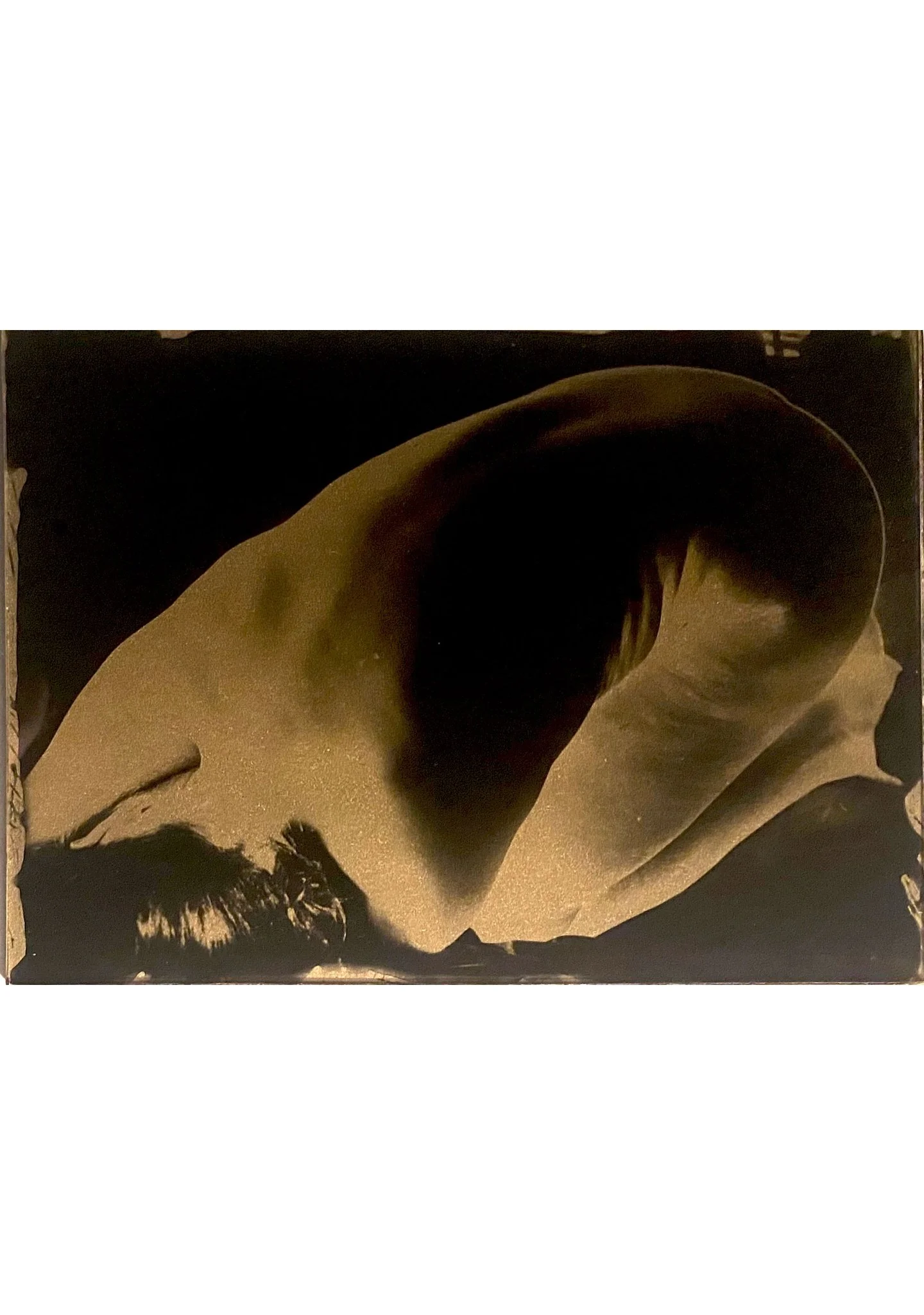 Clarisse Clozier - Et de la ligne 1 - fitted.jpg