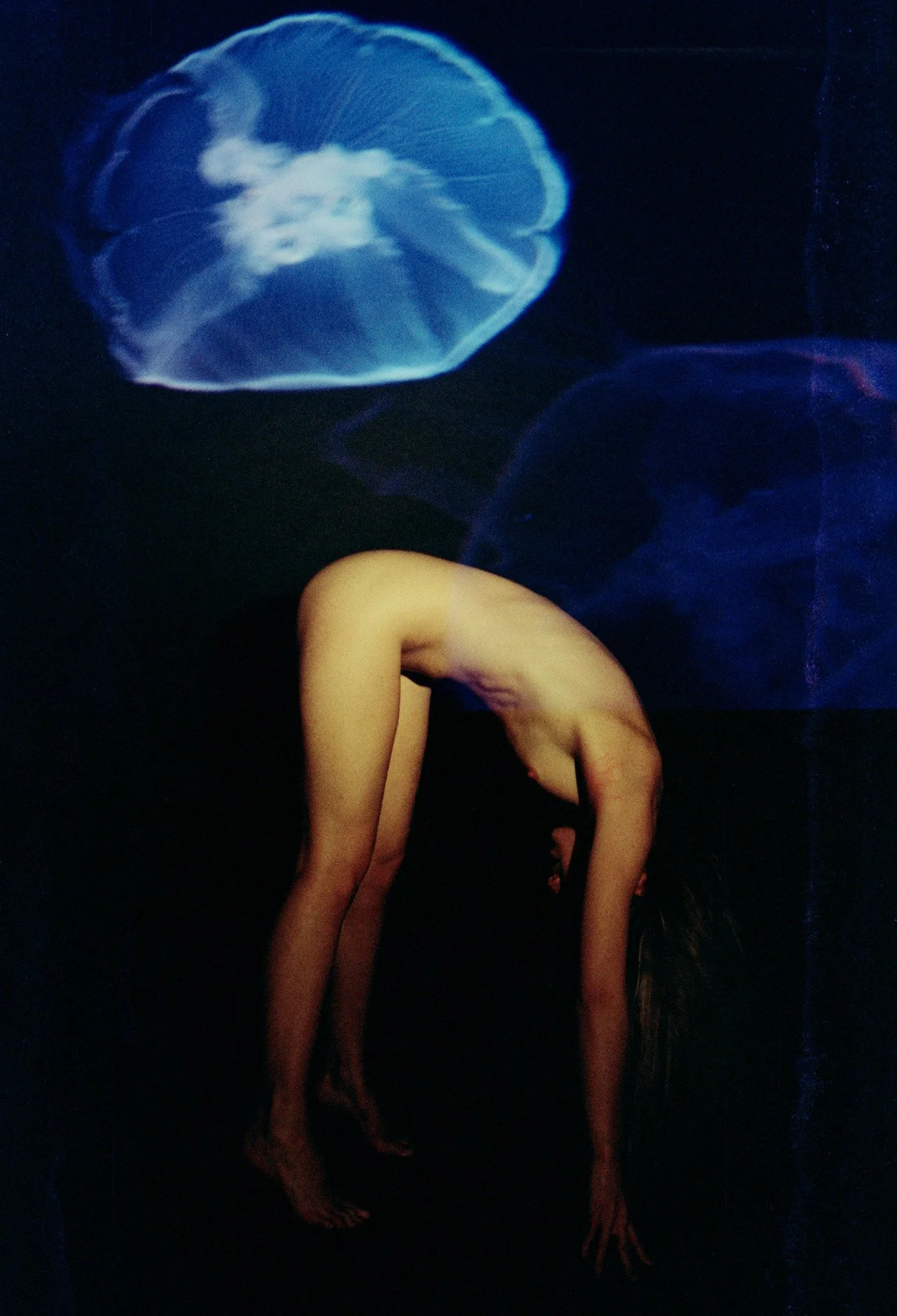 by Brandy Eve Allen