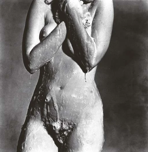 "NUDE TORSO, SOAPING" BY IRVING PENN 1978