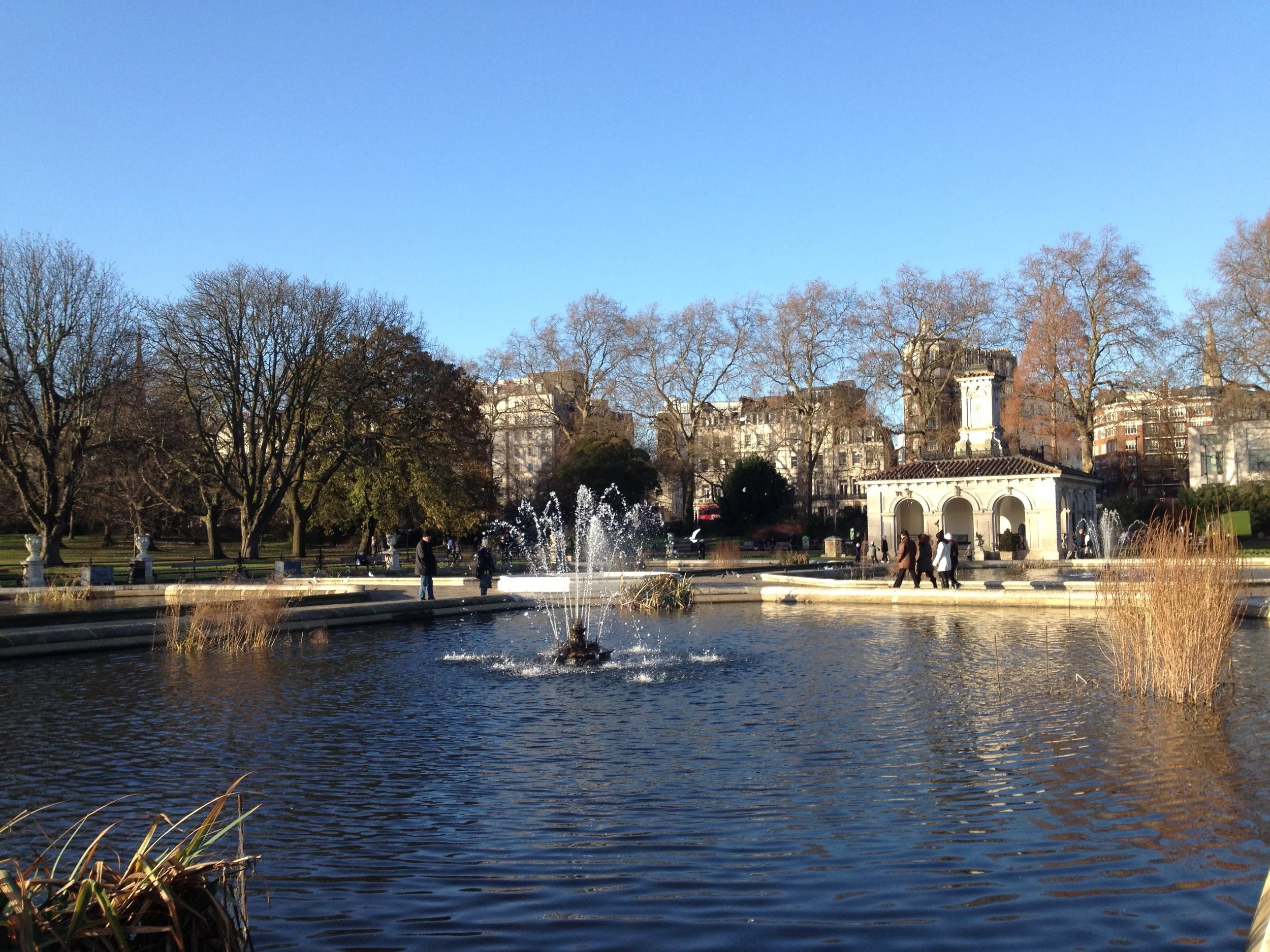 How allowing myself to linger in the liminal zone led to my dream job