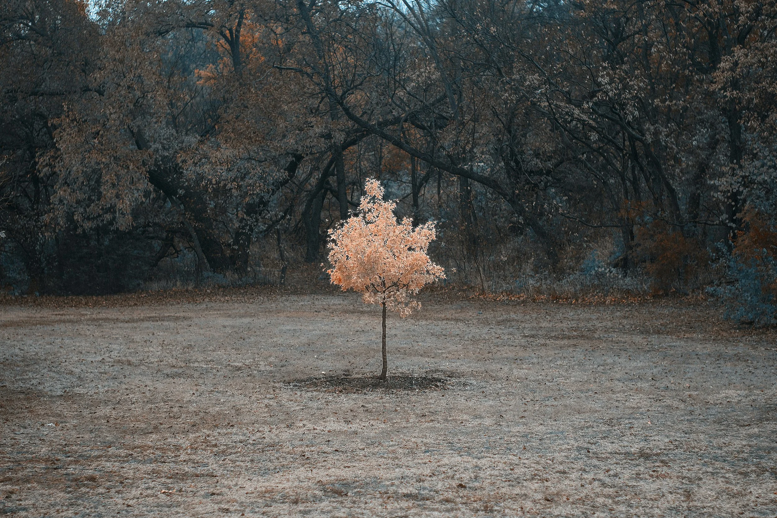 Liminal Space 3: Becoming
