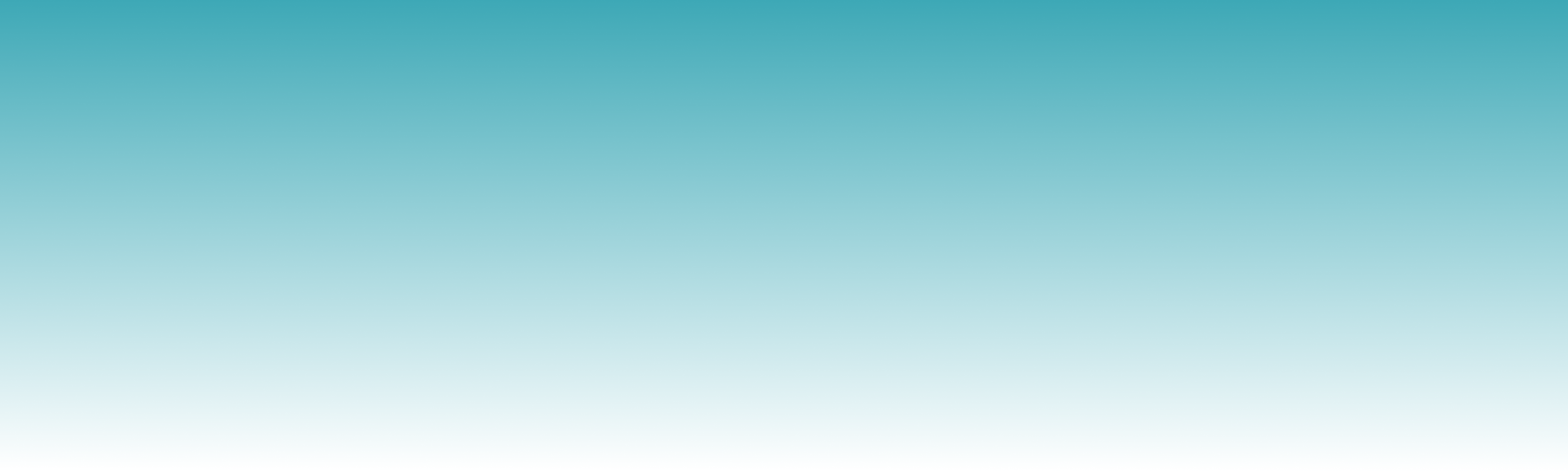 Section background1.png