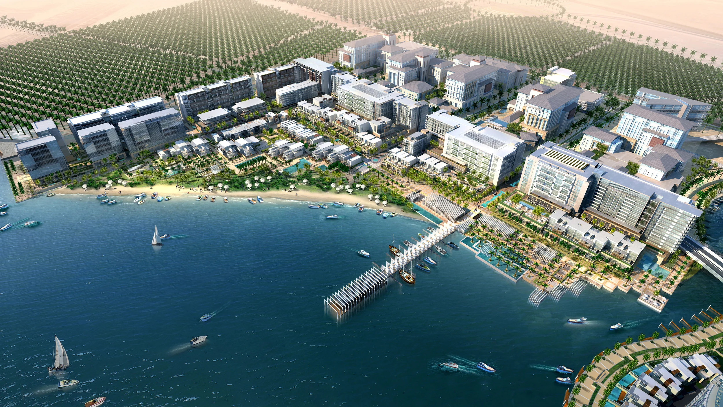 Zeina Al Shahed Graduation Project By Zeina Al Shahed vrogue.co