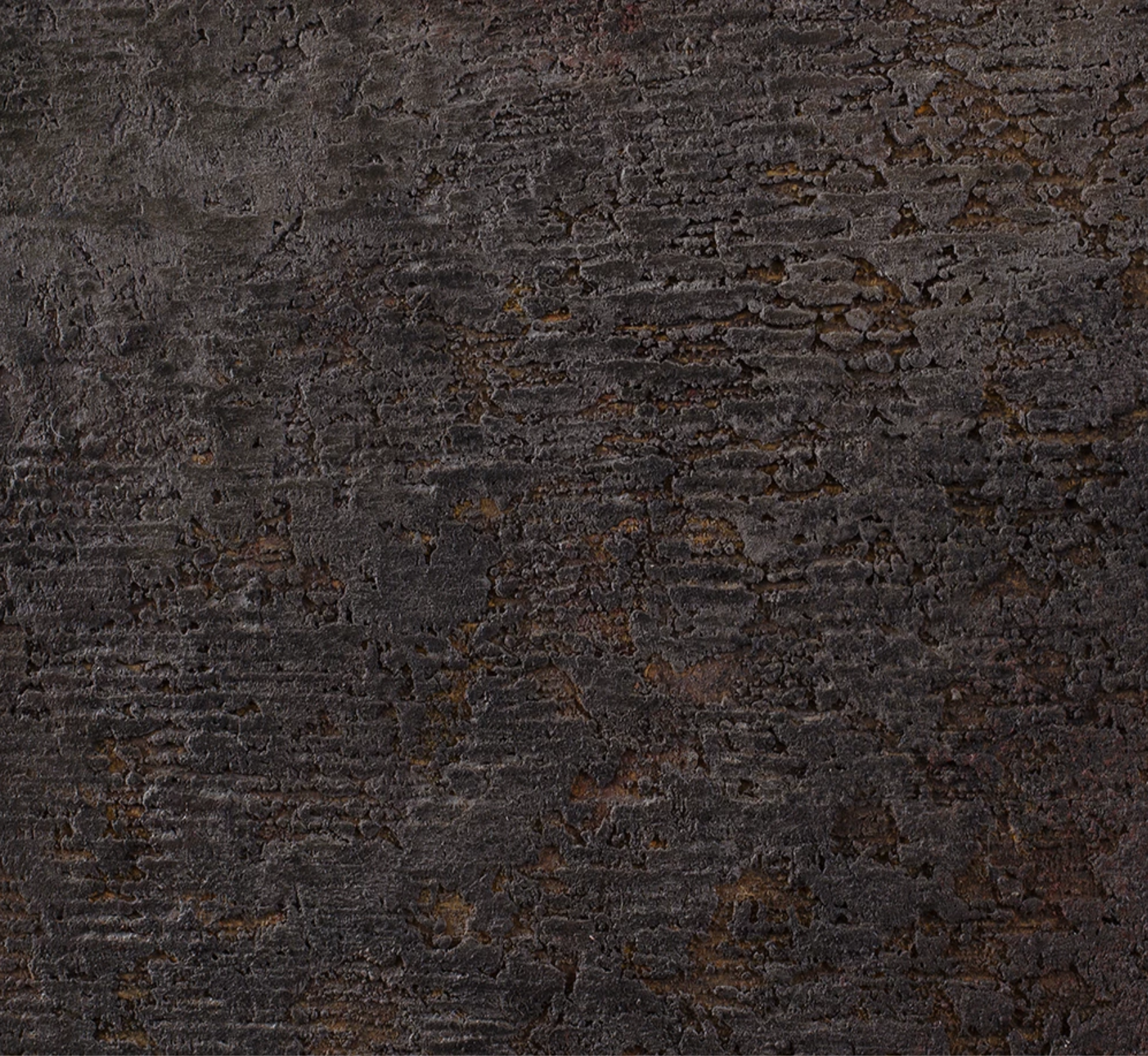 DETAIL – dark afternoon